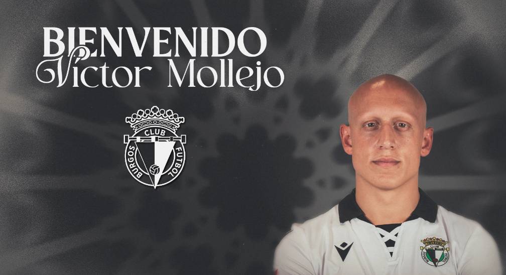 mollejo bcf